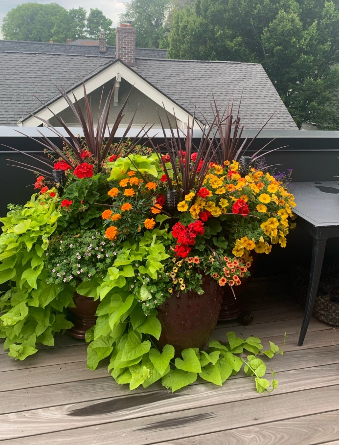 Exterior Styling & Planter Design card