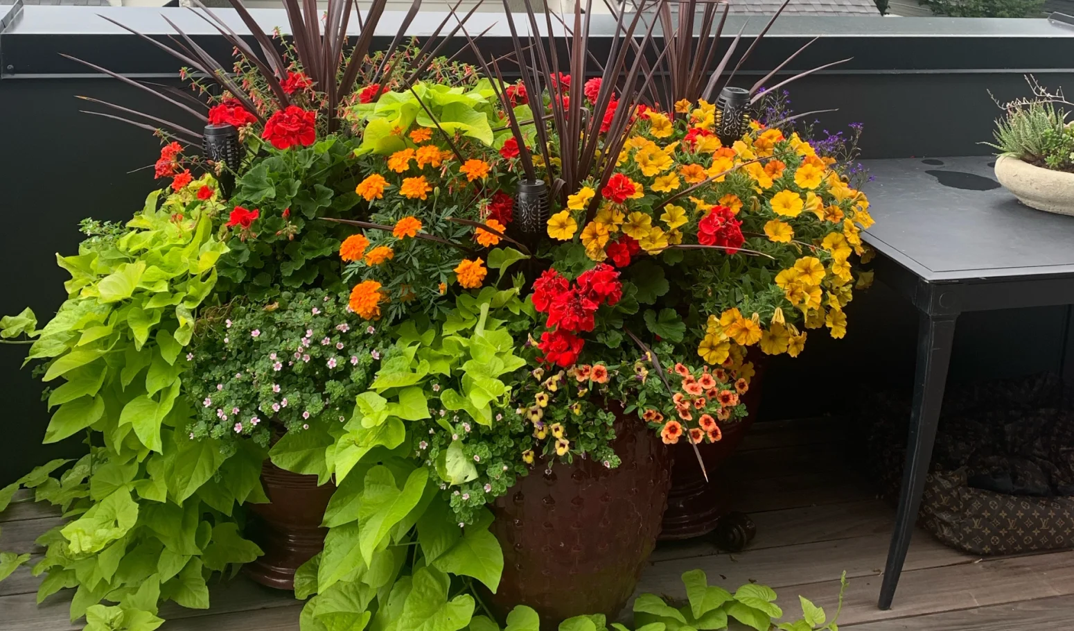 Exterior Styling & Planter Design Exterior Styling & Planter Design